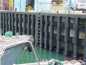 HDPE Тапи за дърво